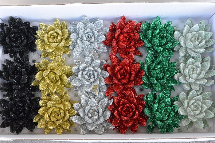 ECHEVERIA GLITTER